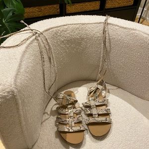 Steve Madden gladiator sandals